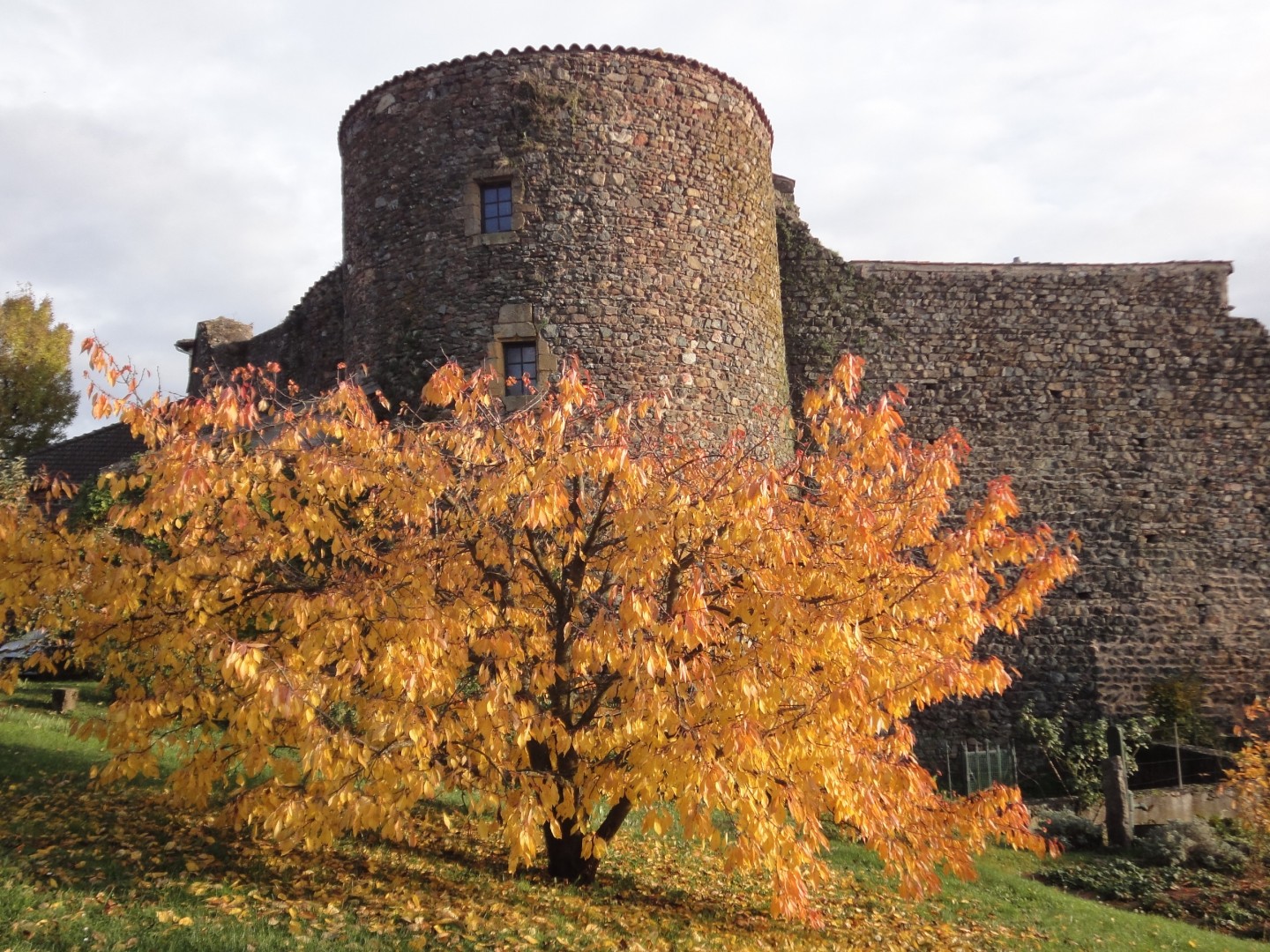 Pays de L'Arbresle - Parcours n°55 : Au pied de Montbloy