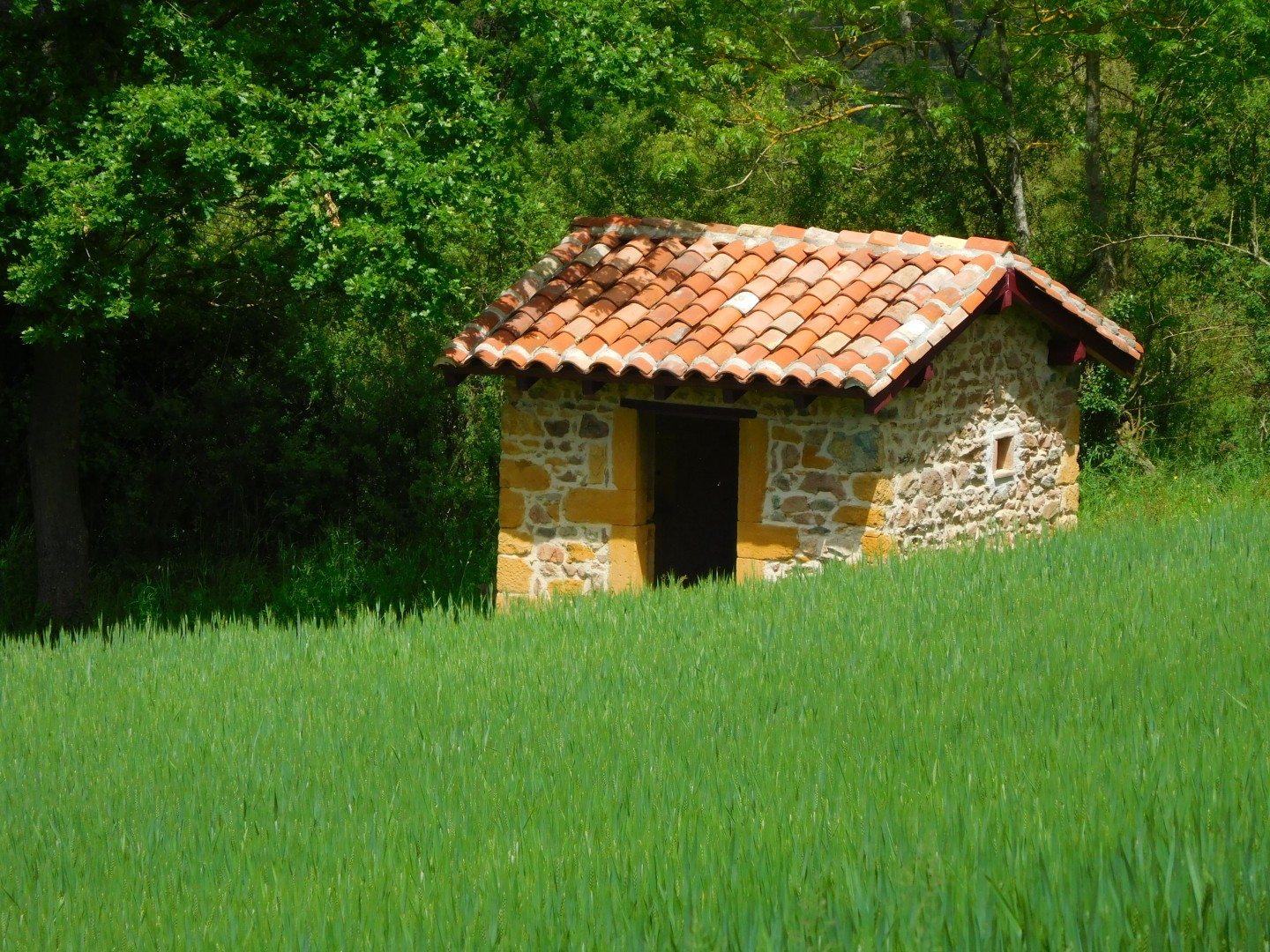 Pays de L'Arbresle - Parcours n°56 : La cabane de vigne
