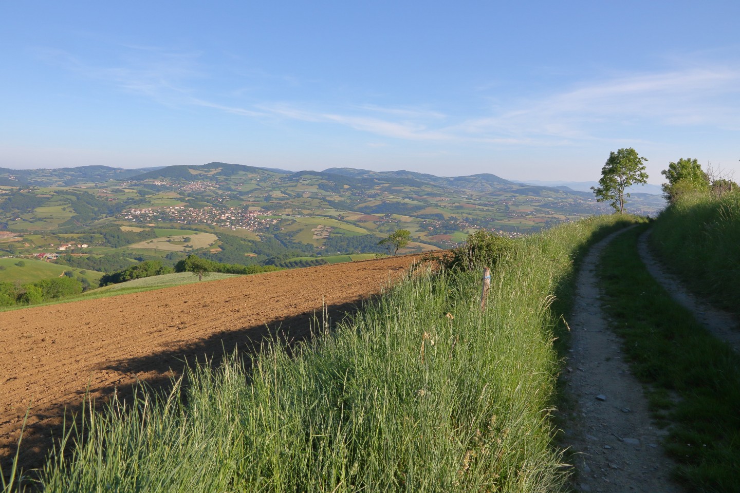 Pays de L'Arbresle - Parcours n°67 : La Croix de Pars
