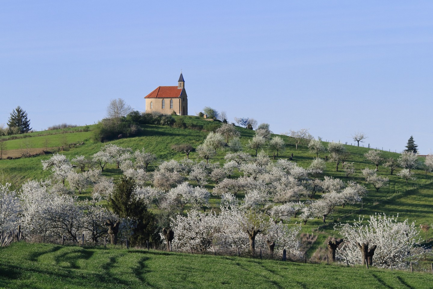 Pays de L'Arbresle - Parcours n°69 : Ripan