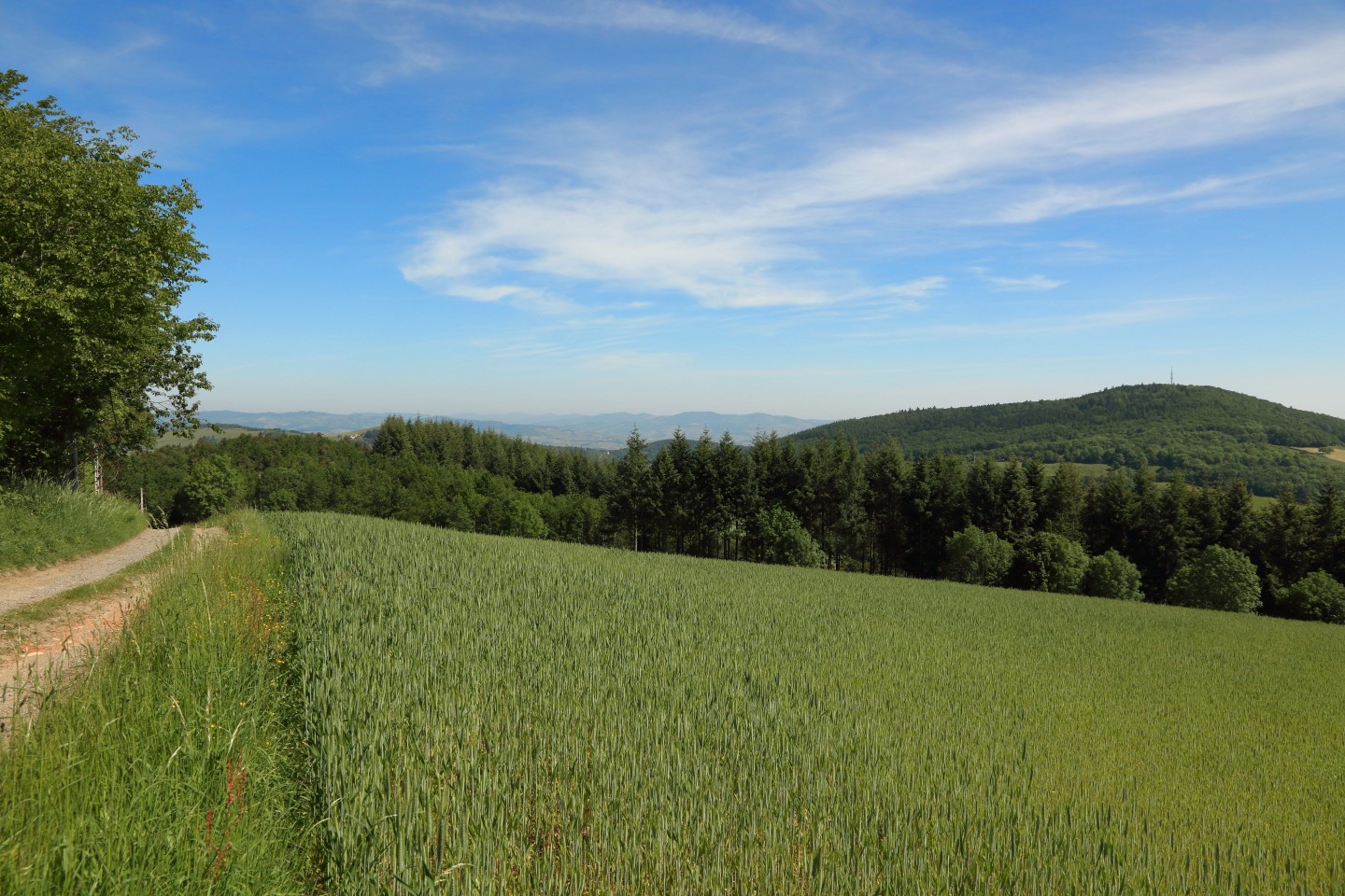 Pays de L'Arbresle - Parcours n°73 : Entre Crêt d'Arjoux et Mont Popey