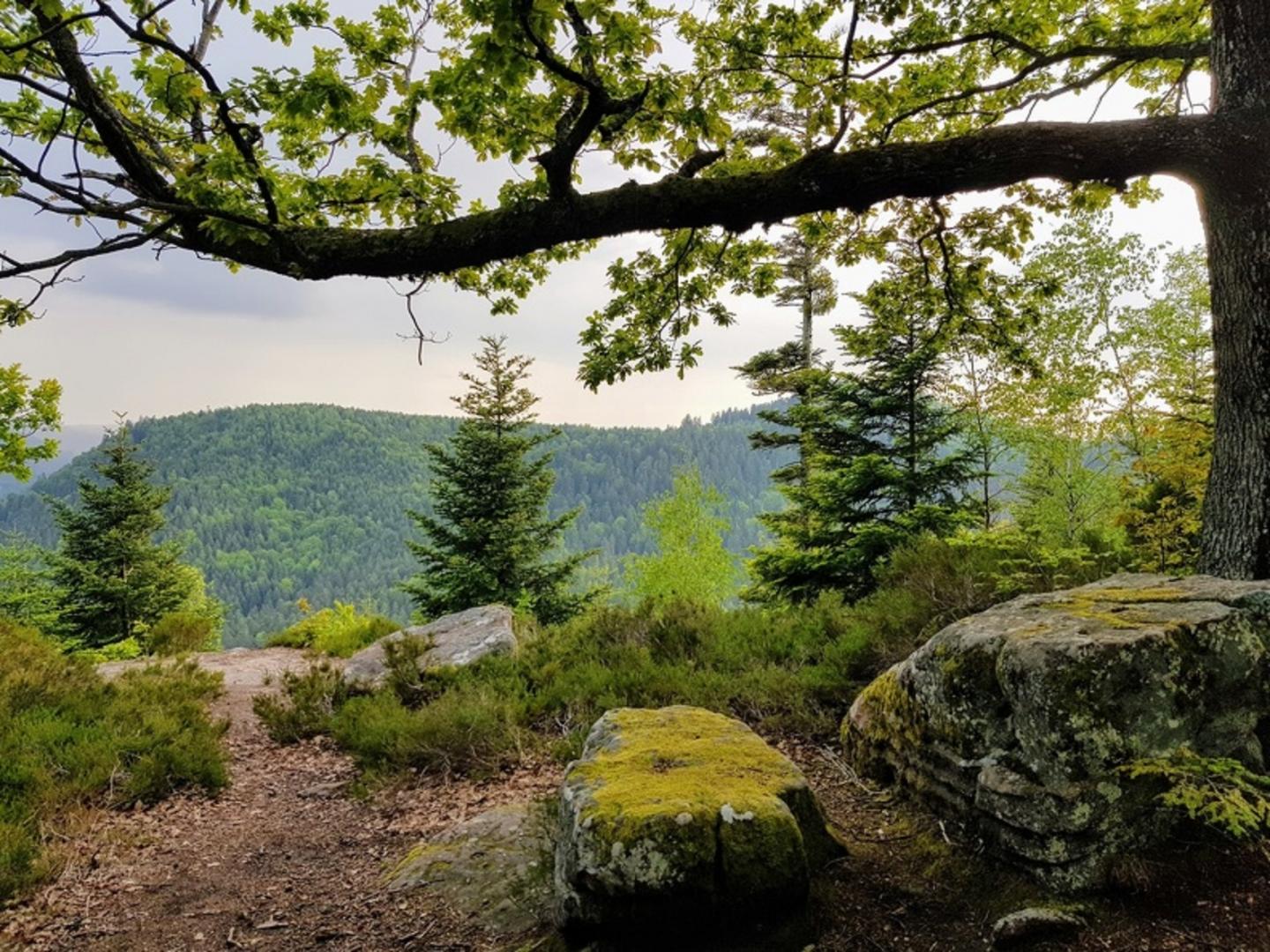 De Bionville à la Roche de la Soye et aux Roches de la Pierre à Cheval
