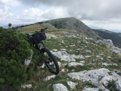 VTT-13659