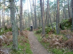 Au Mont Aigu