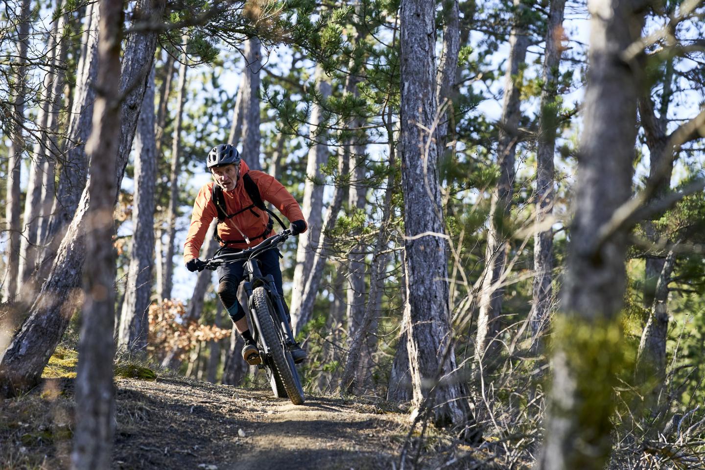 Domaine VTT Provence-Alpes, secteur Val de Durance - Circuit N°6 : La Pierre Plantée - Peyruis