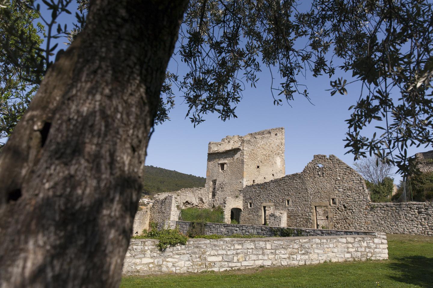 Domaine VTT Provence-Alpes, secteur Val de Durance - Circuit N°19 : Les Jas - Peyruis