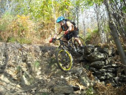 VTT-13708