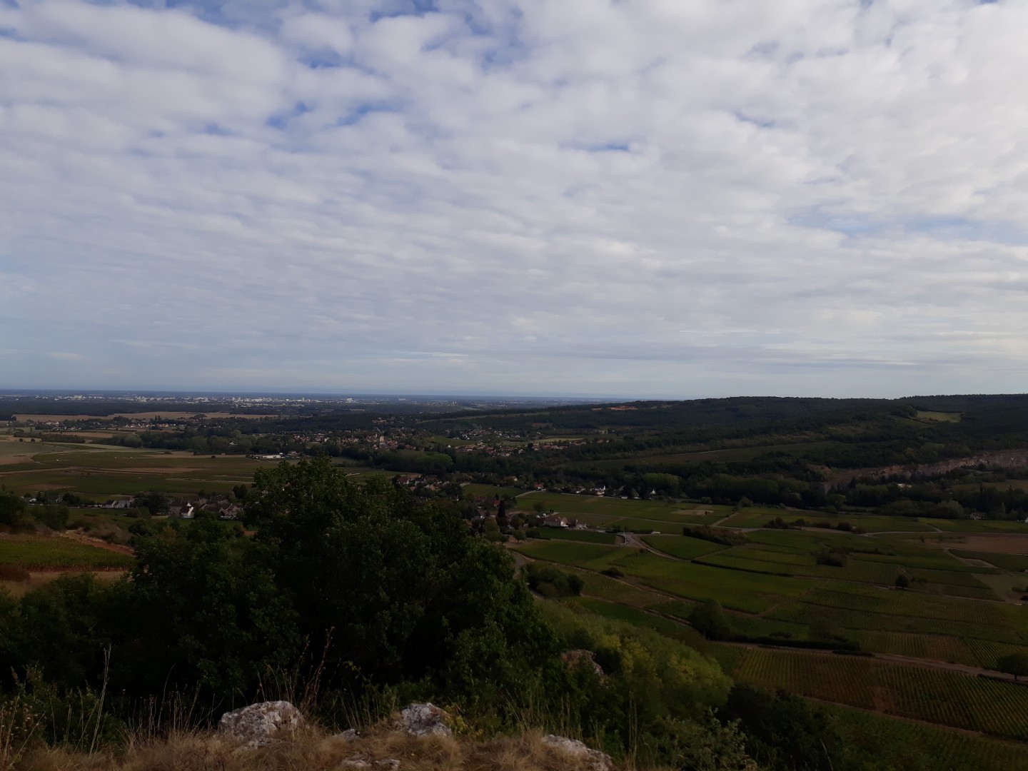Fontaines - Rully - Bouzeron - Corchanu - Aluze - Mercurey