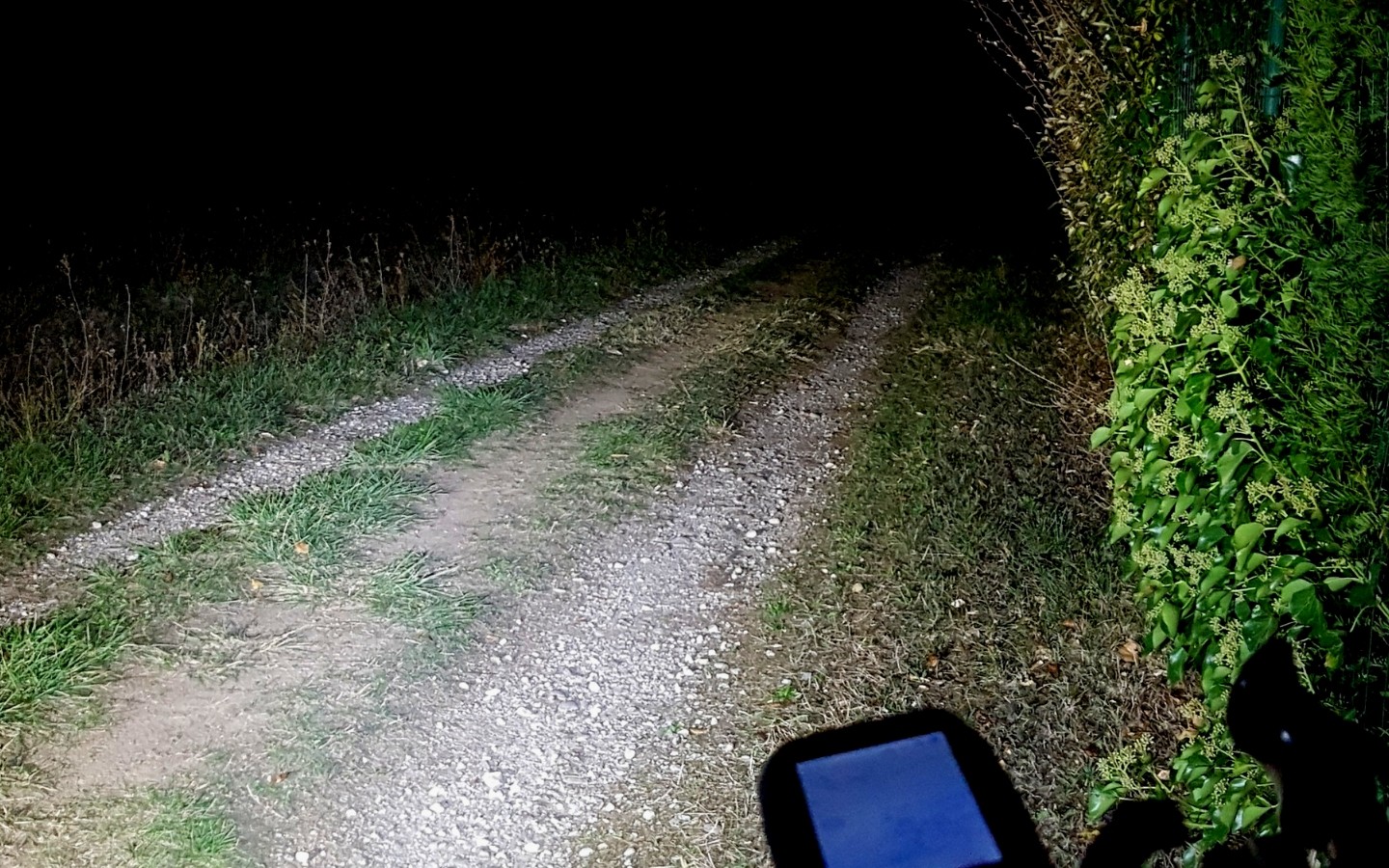 Nocturne des grenouilles 2018 - 25 km