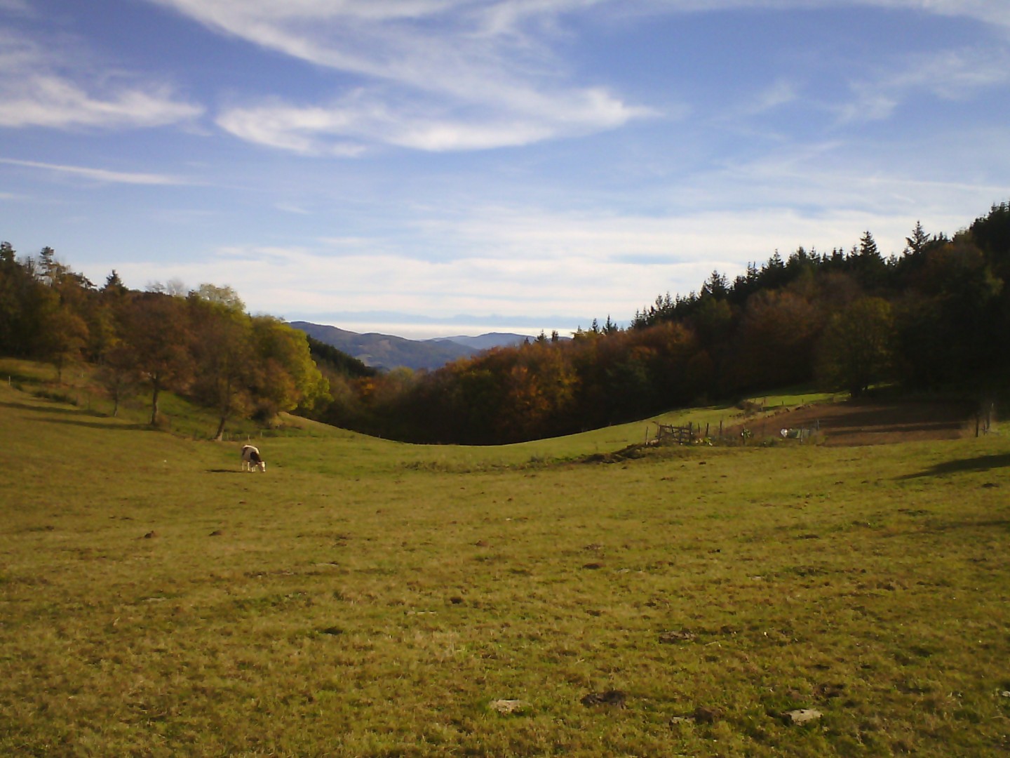 Haute-Loire / Vallée du Rhône