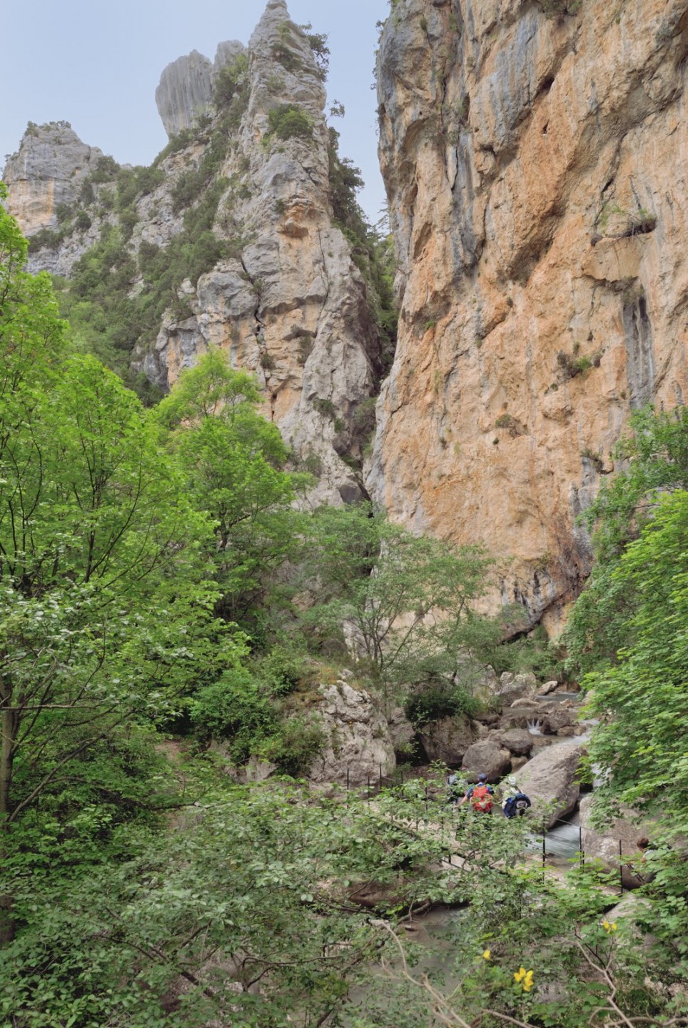 Domaine VTT Provence-Alpes, secteur Digne-les-Bains - Circuit N°6 : L'Estoublaisse