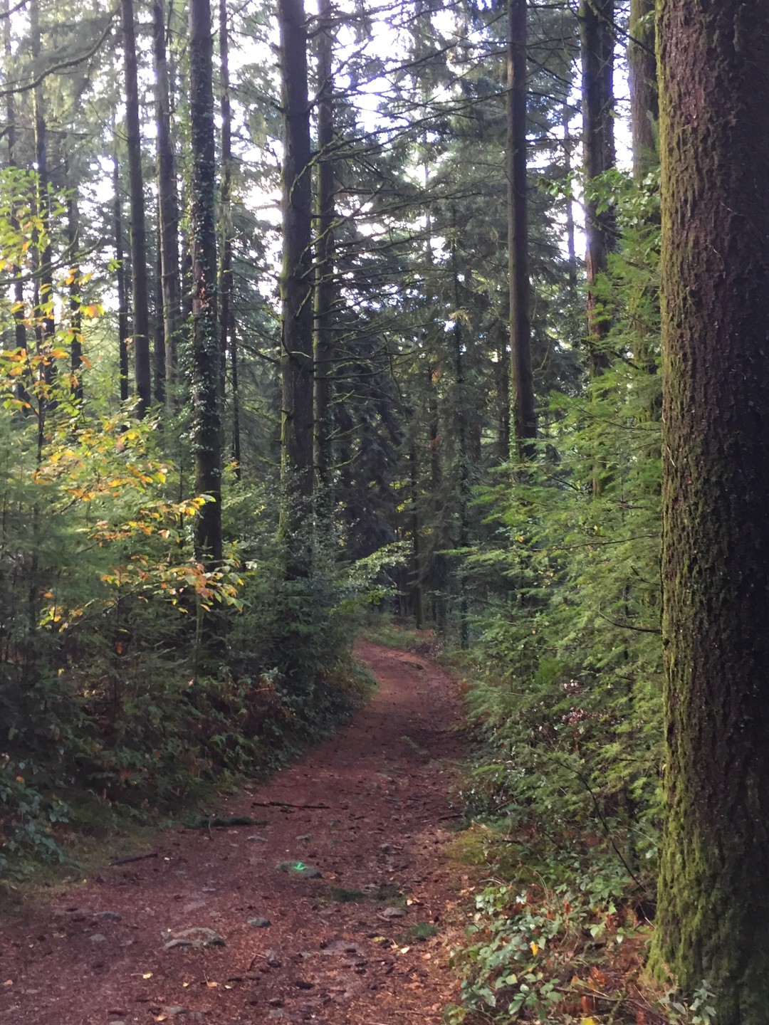 Espace VTT-FFC des Monts de Blond - Circuit n° 1: La chapelle