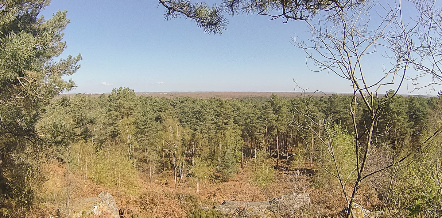 Sortie à Bleau avec parcours ONF inclus