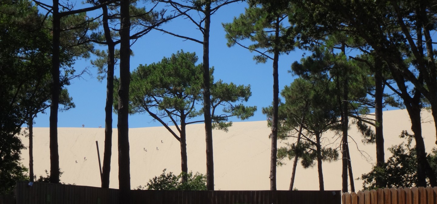 Dune du Pilat
