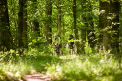Forêts (Olivier Octobre / GTMC)