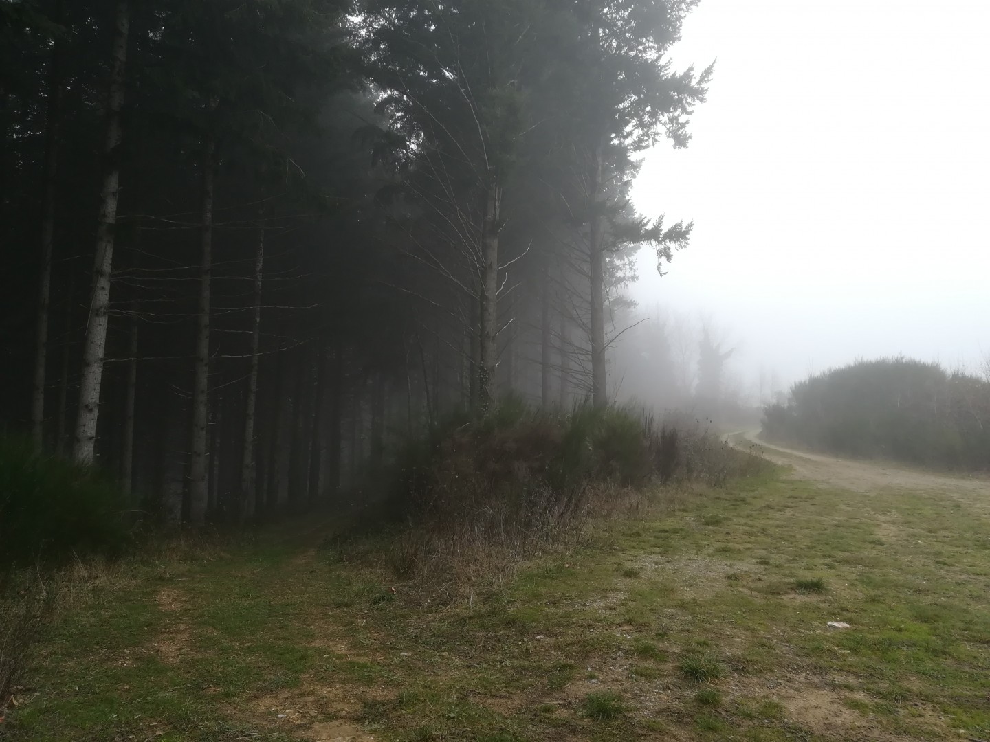 En plein Segala