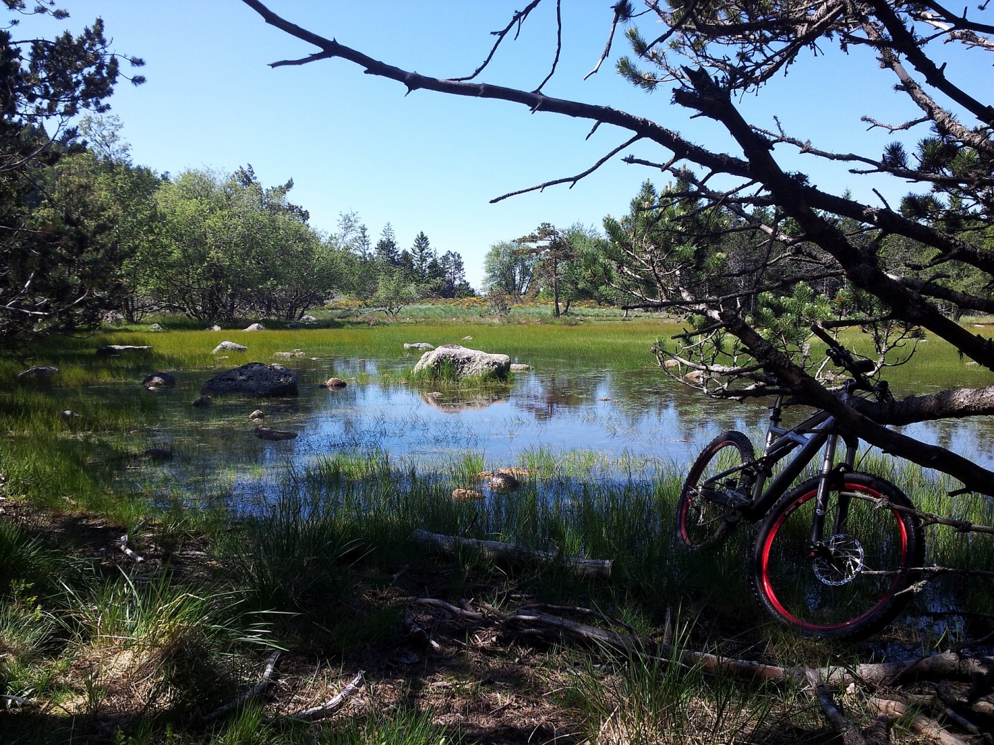 Petite rando dans les Cévennes