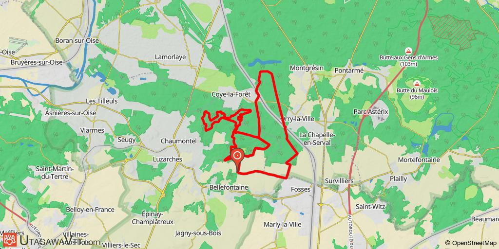 Chemins en forêt de Coye