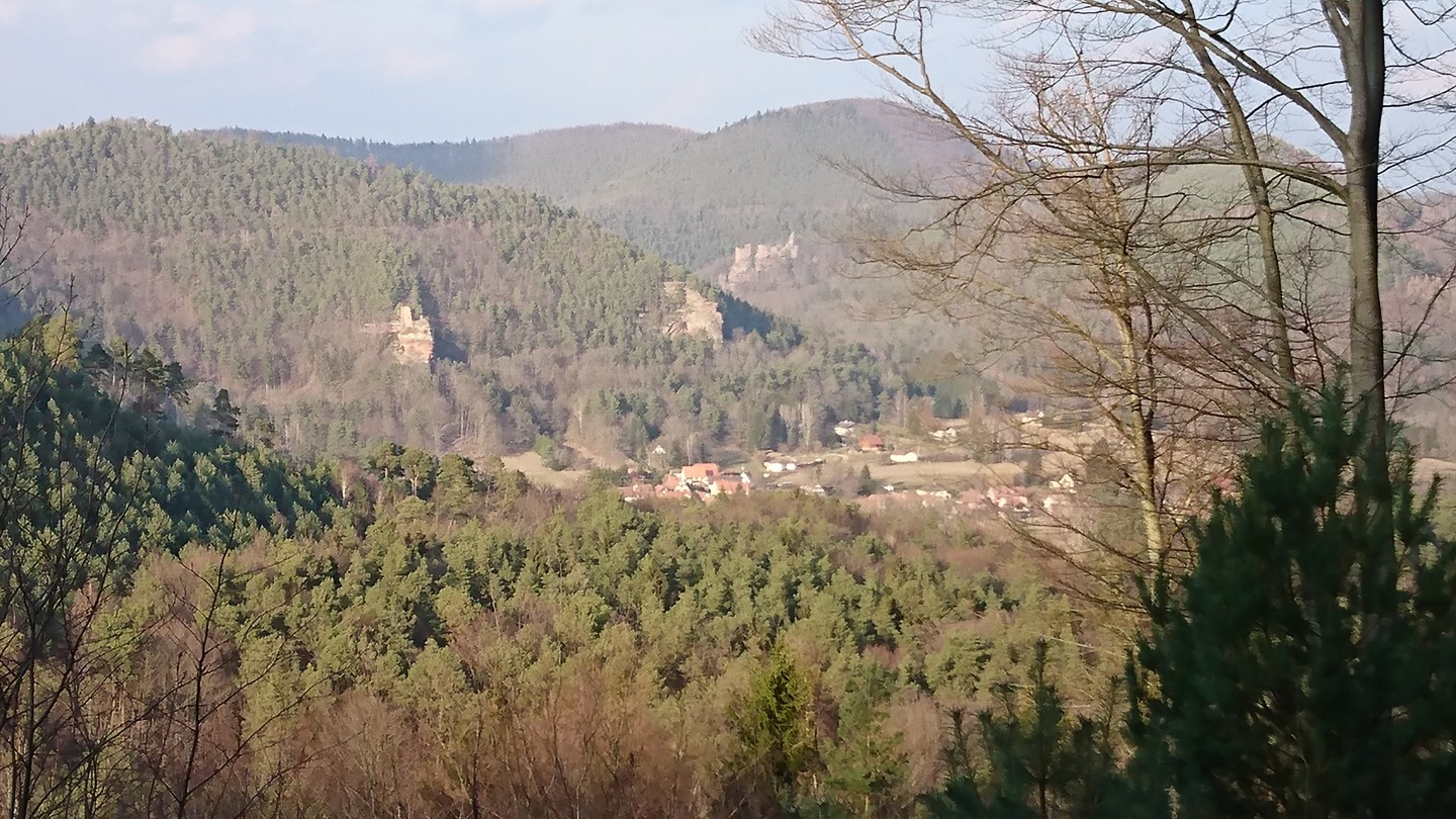 Randonnée des 4 châteaux au départ de Woerth