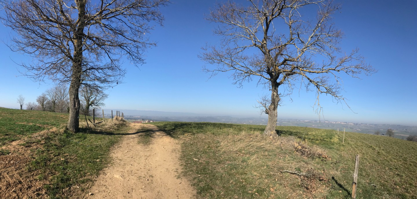 Au nord de Fontanès