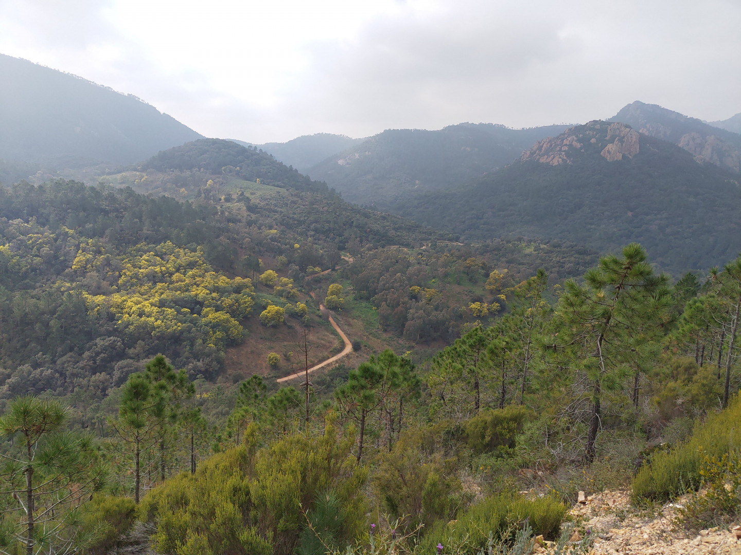 Esterel : XC/gravel loop