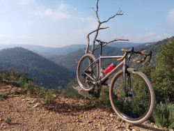 VTT-14307