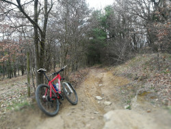 VTT-14337
