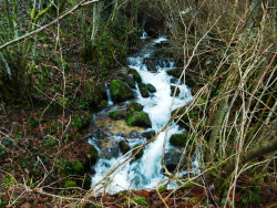 Torrent