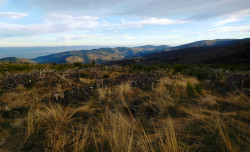 Paysage