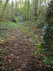 Chemin très humide