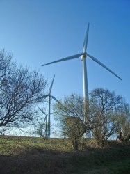 Aux pieds des éoliennes à Sortosville en Beaumont