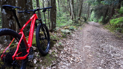 VTT-14377