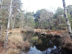 Mare aux Pigeons