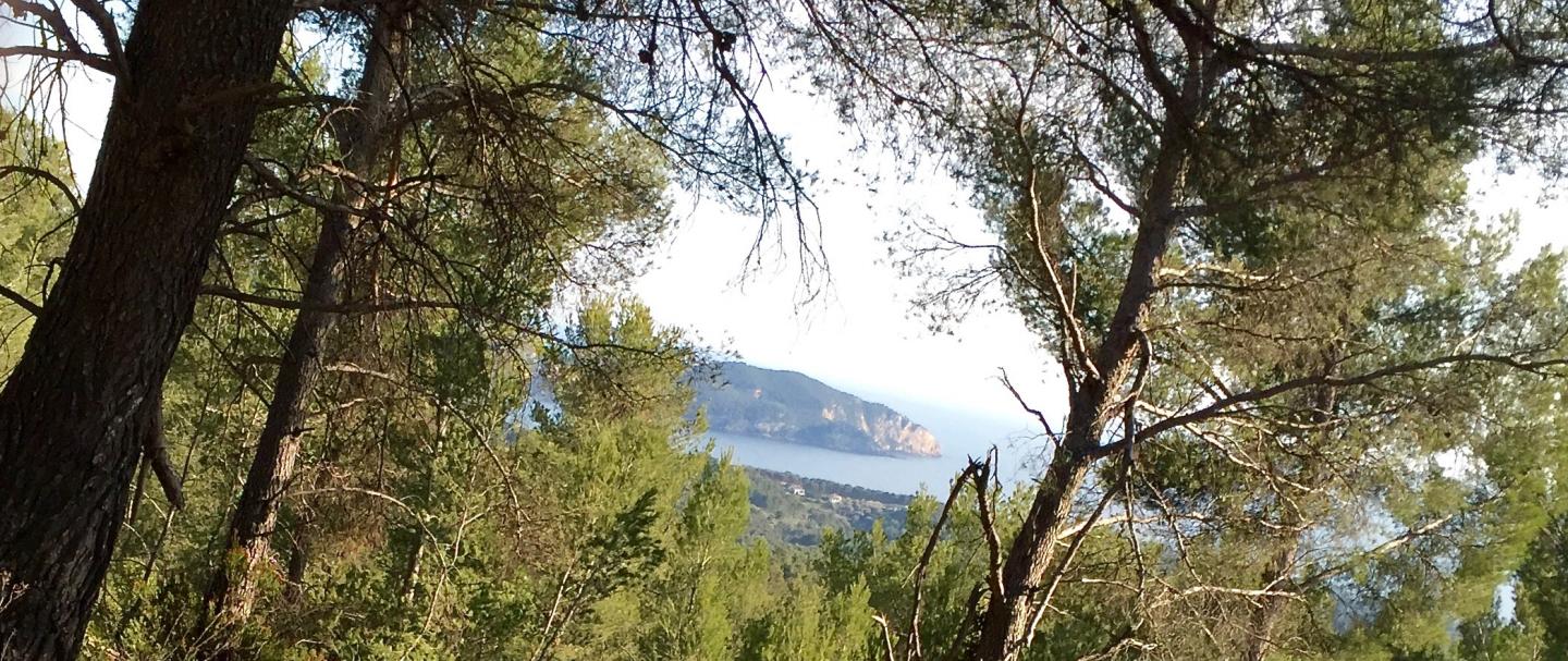 Rando de Ceyreste 2019 - 25 km