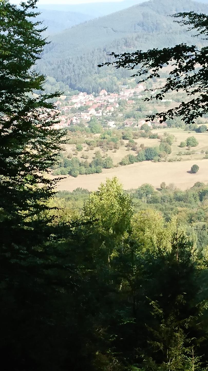 Woerth - Le Wintersberg - Woerth en passant par le château du Windstein et Dambach