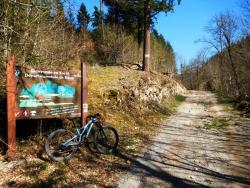Forêt Départementale de Brou