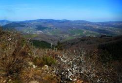 Jolie vue sur le Beaujolais Vert