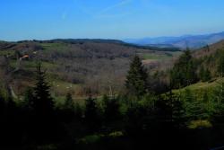 Vallonnement du Beaujolais Vert
