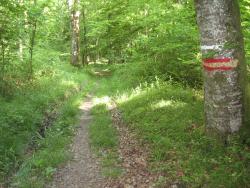 01.Breurey.(70).La croix Blinot.L'Espurgade.Balisage chemin.