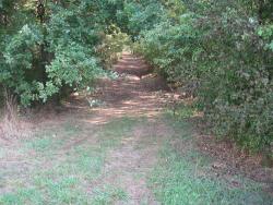 76.Fleurey.Bois des Vernayes.Allée forestière entre carrés 26-27, de D271 à D20.