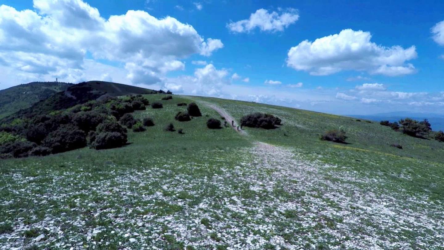 La crête du Luberon
