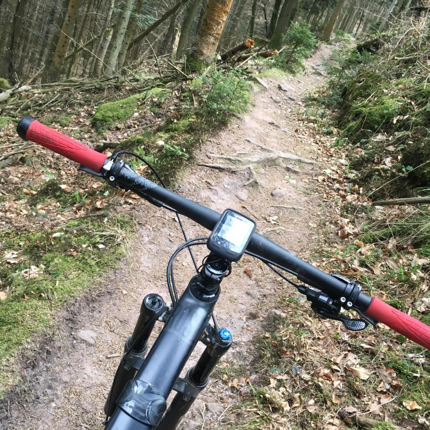 Saverne - Stambach - Reinhardmunster