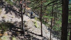 sous le col malison