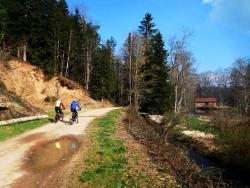 Au bord du Sornin