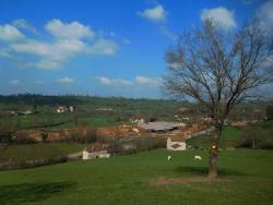 Bocage du Brionnais