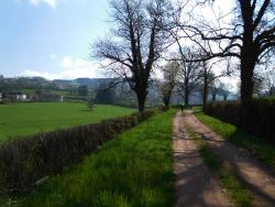 Piste agricole