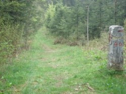VTT-3094