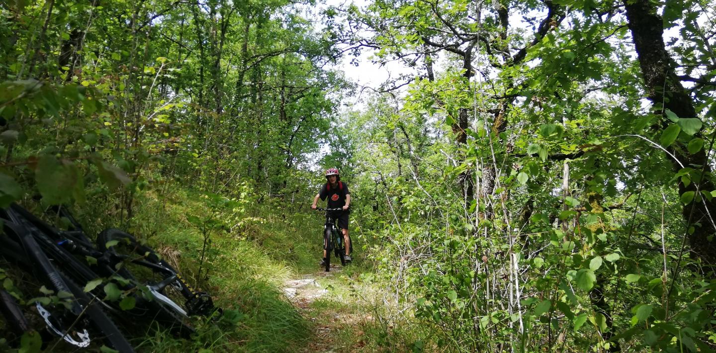 Verdeney-Coulaures - Tourtoirac - Mayac