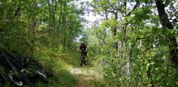 VTT-20137