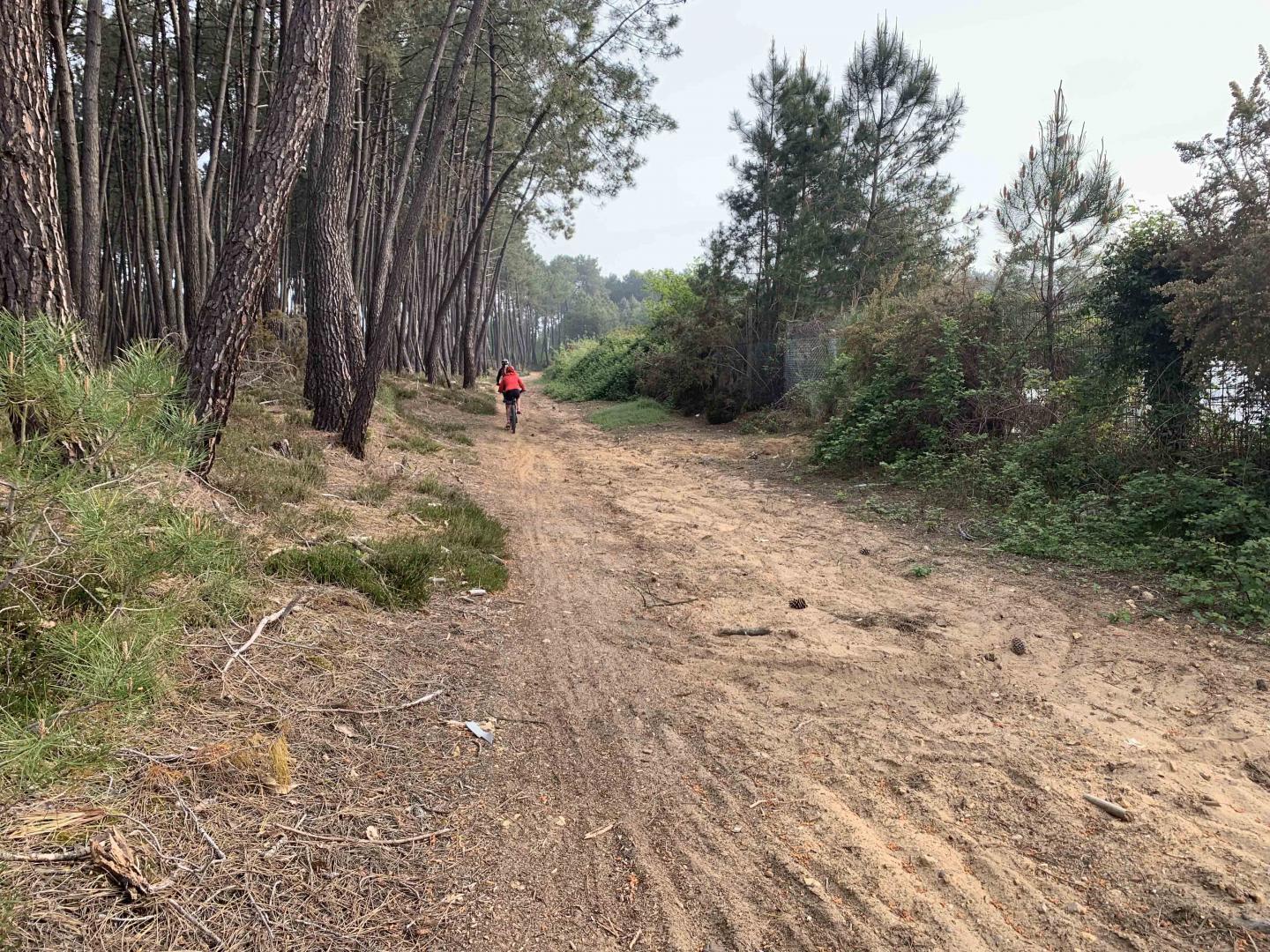 Randonnée de Ruaudin 2019 - 40 km